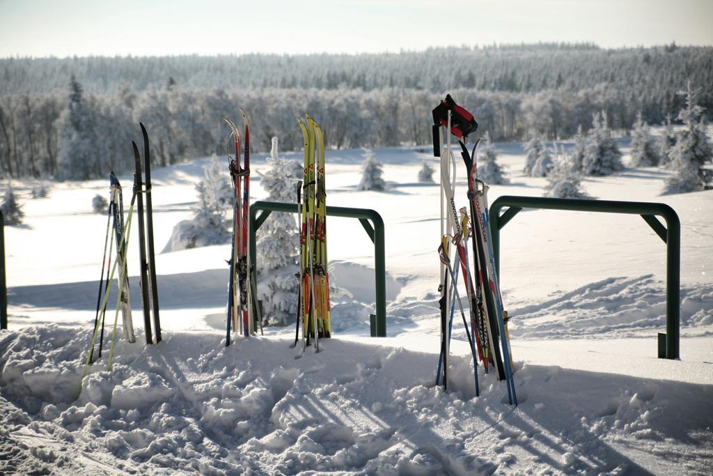 Hotel Krusnohorsky Dvur Cínovec المظهر الخارجي الصورة