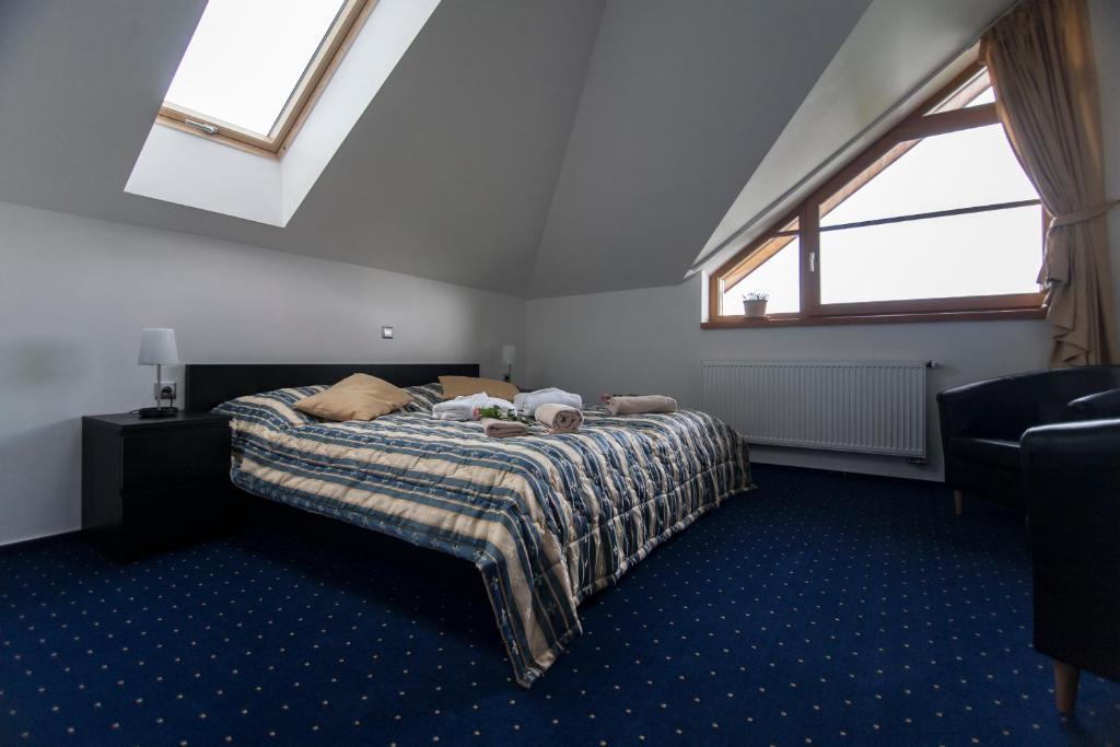 Hotel Krusnohorsky Dvur Cínovec الغرفة الصورة