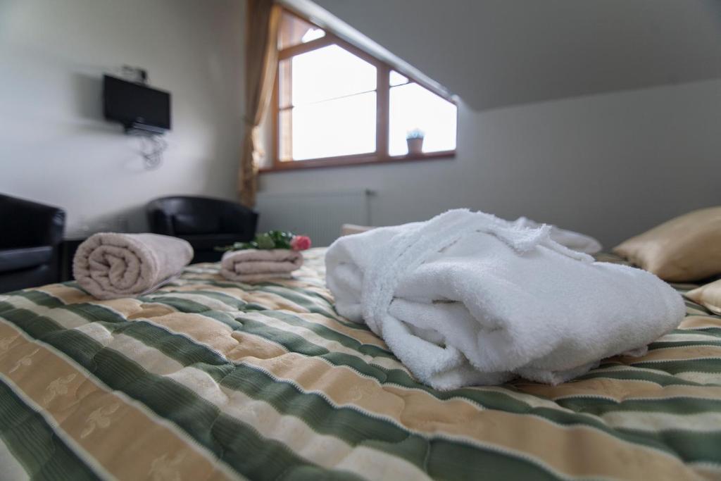 Hotel Krusnohorsky Dvur Cínovec الغرفة الصورة